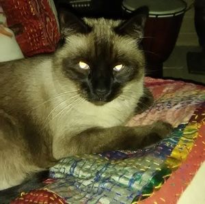 Meet your Posher, Karen